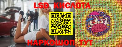сатива Новозыбков