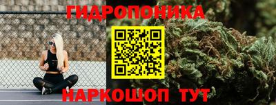 ешки Новодвинск