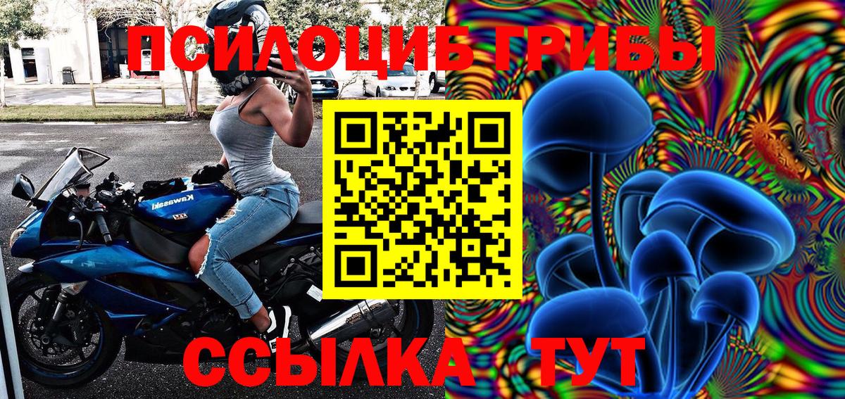 Семёнов  Галлюциногенные грибы Psilocybe  Вход с VPN 